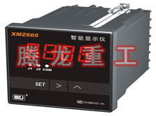 溫度表、數(shù)字顯示儀、濕度表