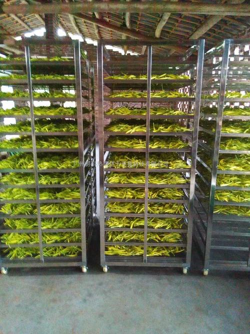 黃花菜烘干機(jī)、黃花菜烘干設(shè)備、黃花菜干燥機(jī)、黃花菜干燥設(shè)備、